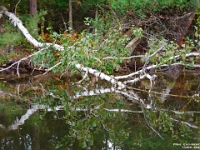 73399LeUsm - Kayaking on Lake Muskoka with John - Deb   Each New Day A Miracle  [  Understanding the Bible   |   Poetry   |   Story  ]- by Pete Rhebergen